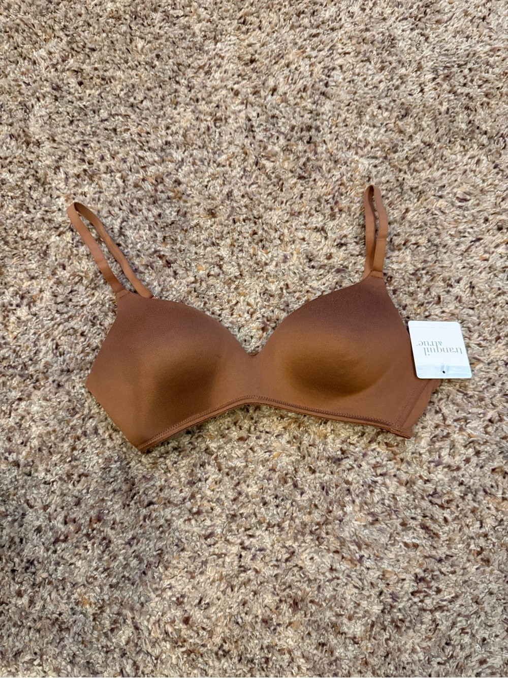 Everyday Seamless T-Shirt Bra in Warm Brown - Women Intimates